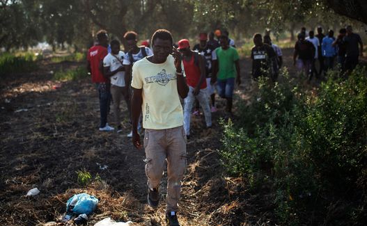 migranti e bossi fini